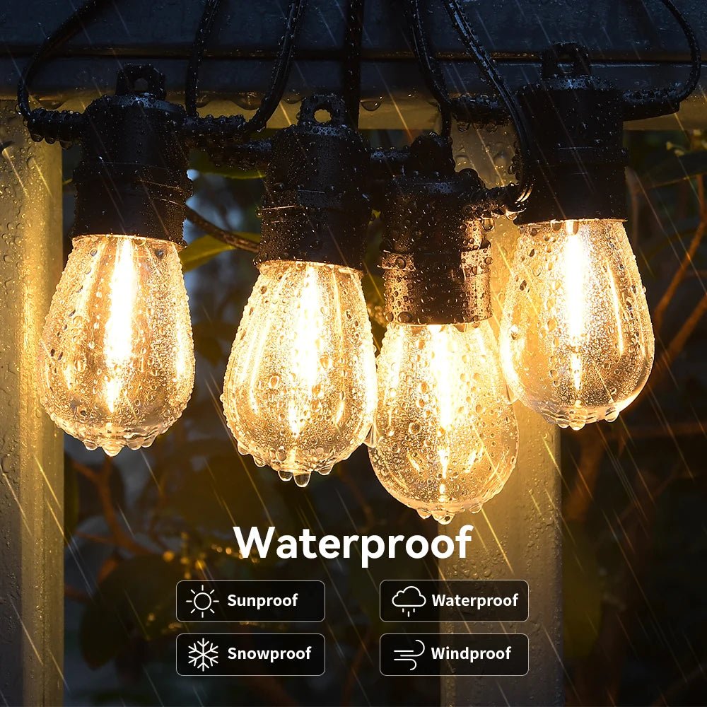 EcoScape™ Festoon Lights (2024 Edition) - Eco Scape