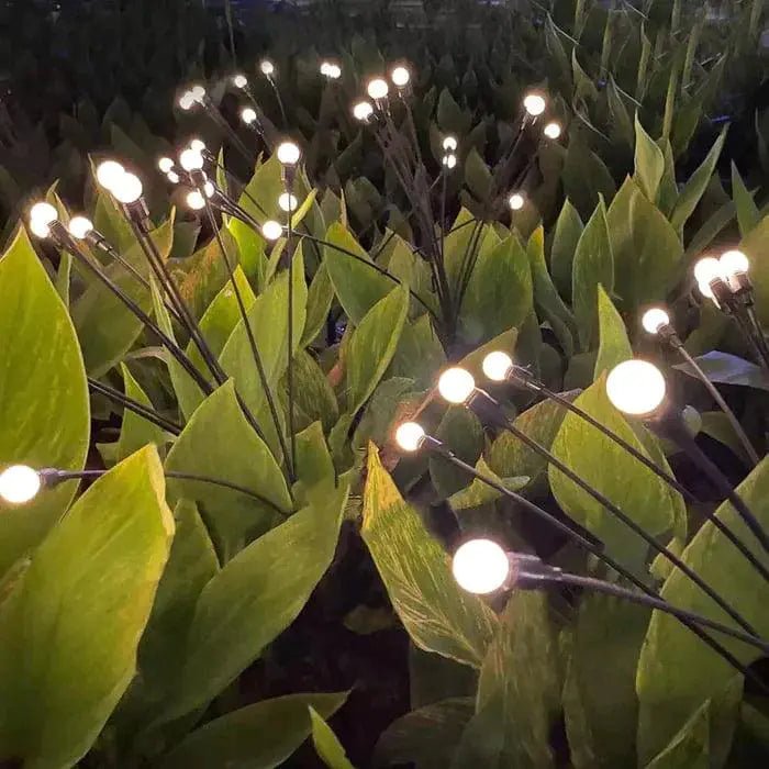 Firefly Solar Lights - EcoScape
