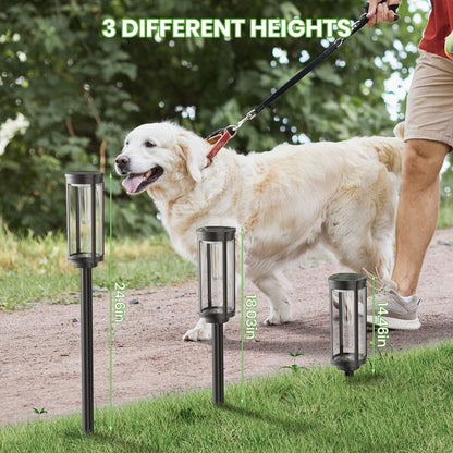 Solar Pathway Lights